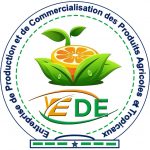 Logo YEDE